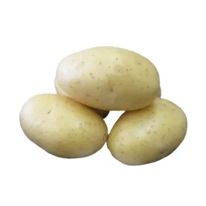 Sadbové zemiaky Dali 10kg